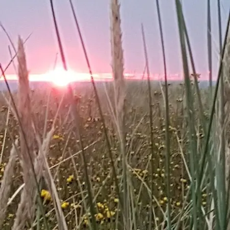 Kranichnest Mit Huehnerhof Lejlighed