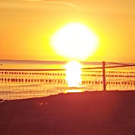 Kranichnest Mit Huehnerhof * Zingst