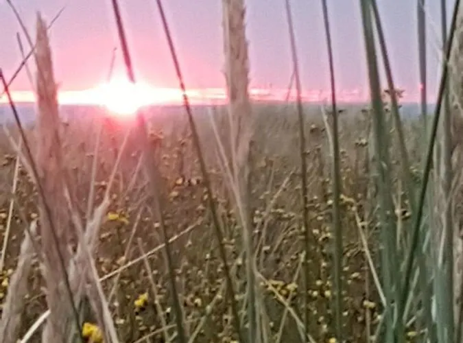 Kranichnest Mit Huehnerhof Appartamento