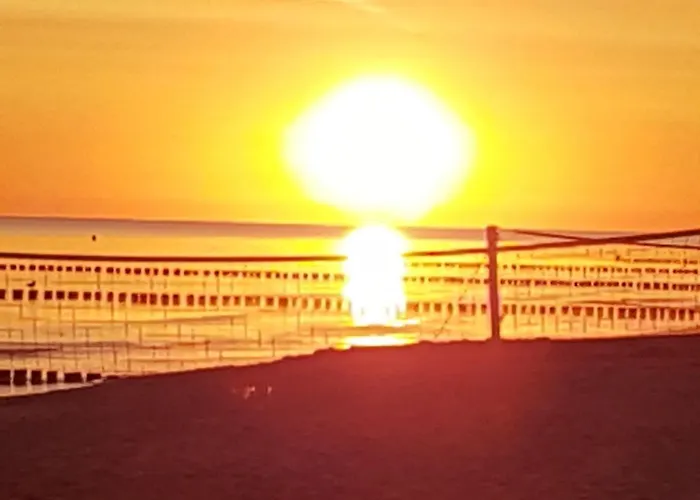 Kranichnest Mit Huehnerhof * Zingst